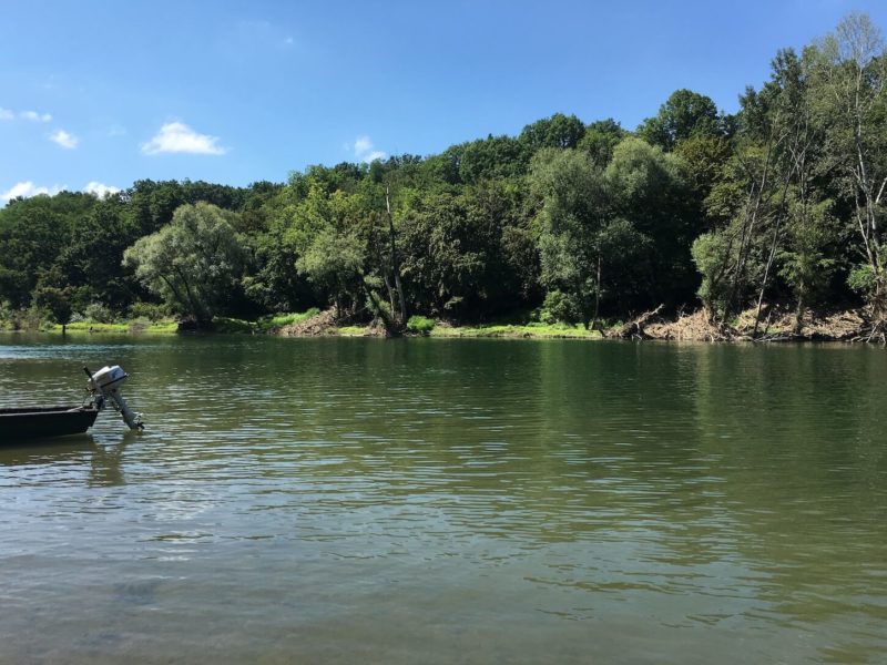 Fluss Kupa in Kroatien
