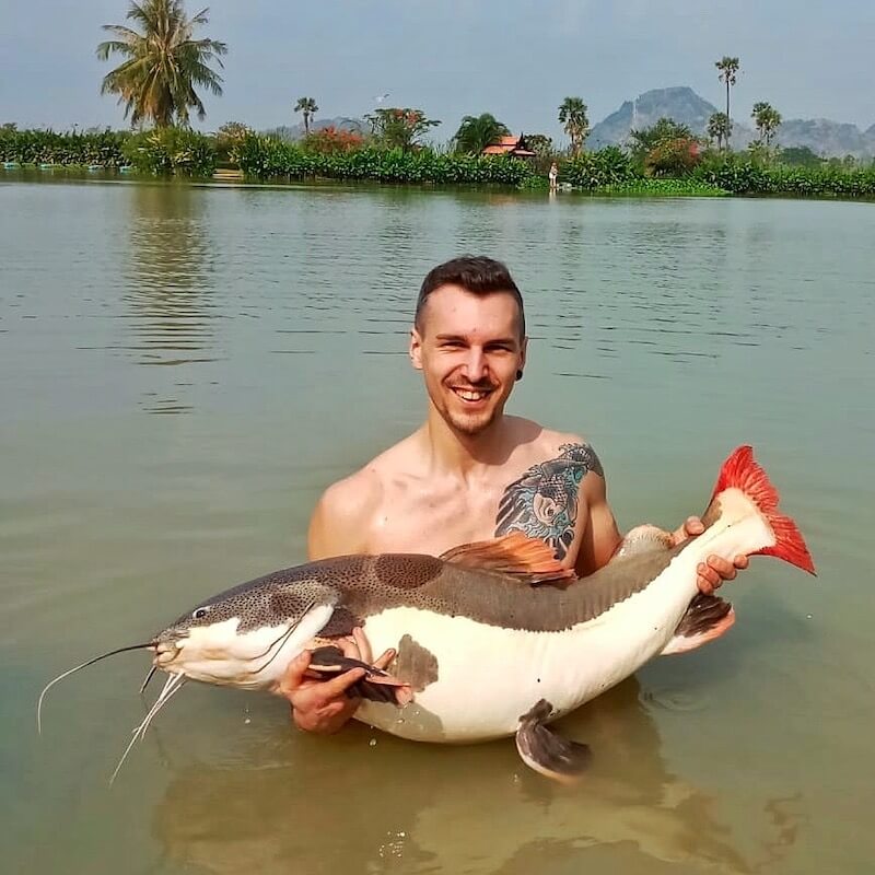 Red Tail Catfish vom Jurassic Fishing Park in Thailand